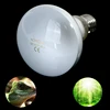UVA+UVB Reptile Lamp Bulb Turtle Basking UV Light Bulbs Heating Lamp Amphibians Lizards Temperature Controller 2
