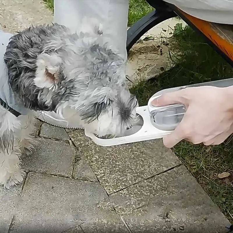 Portable Pet Water Bottle 285ML Cat Water Cup Bowl Durable Drop-resistant Outdoor Cats Dog Drinking Water Dispenser Accessories 5