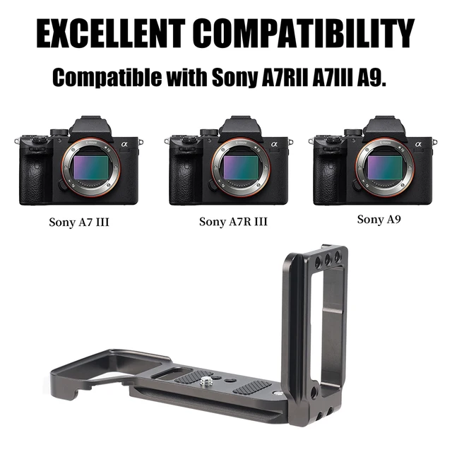 Camera Sony A73 Amazon Sony A7riii A73 Vs A7r3 Digital Camera
