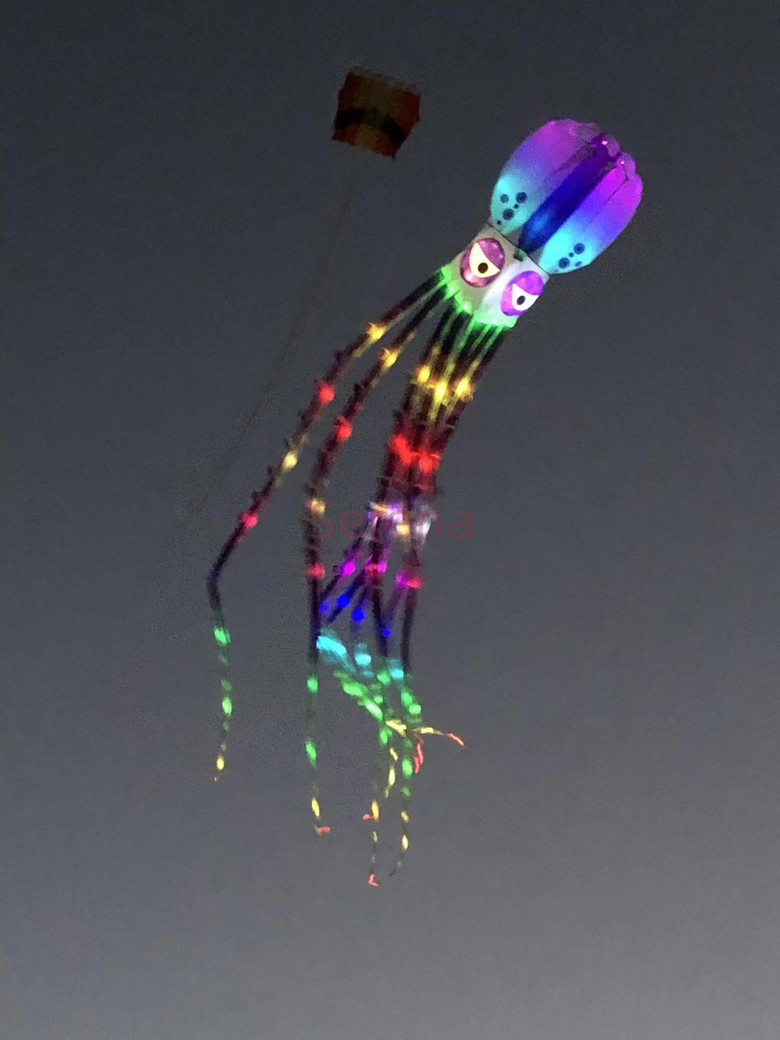 LED lights for 18m octopus kite in high brightness  not including flying kite but just the lights 5