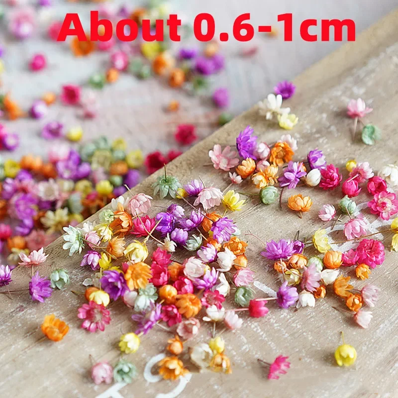 Artificial Flower 100/200pcs for DIY Resin Candle Making Jewelry Fill Art Craft Home Decor Party Decoration Artwork Photo Prop