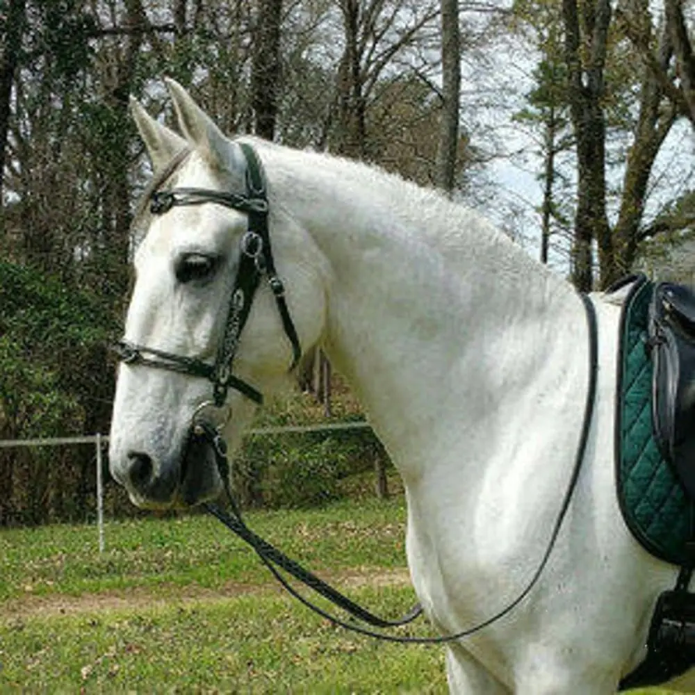 PU Leather Horses Bridle Halters horse riding equipment horse riding halter Metal Buckle Comfortable Horse Head Curtain Adjustable Protecting Horse Skin Rein Harness