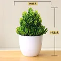 Songzhen green