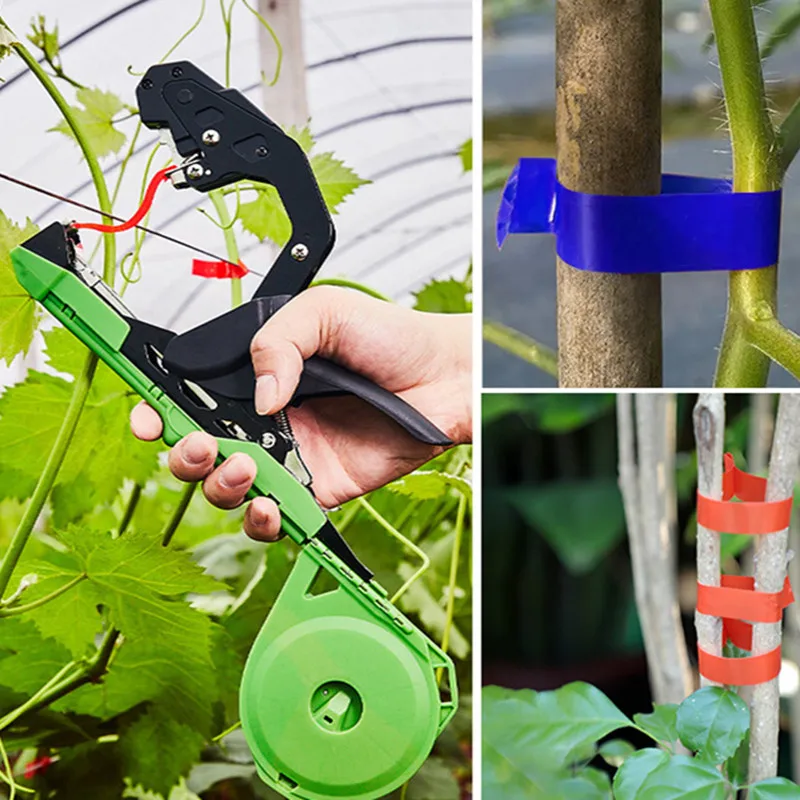 Fascette Per Piante Morbide - 30 Metri, Verde Scuro, Per Orto E Giardino - Foto 7