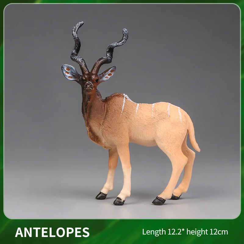 Animal-5