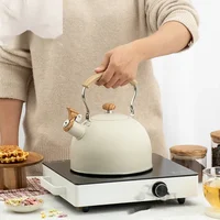 Bouilloire électrique à gaz touristique de 2,5 l avec sifflet, appareil de cuisine en acier inoxydable, théière de Camping, ustensiles de cuisine, ensemble de cuisine 4