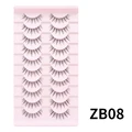 ZB08