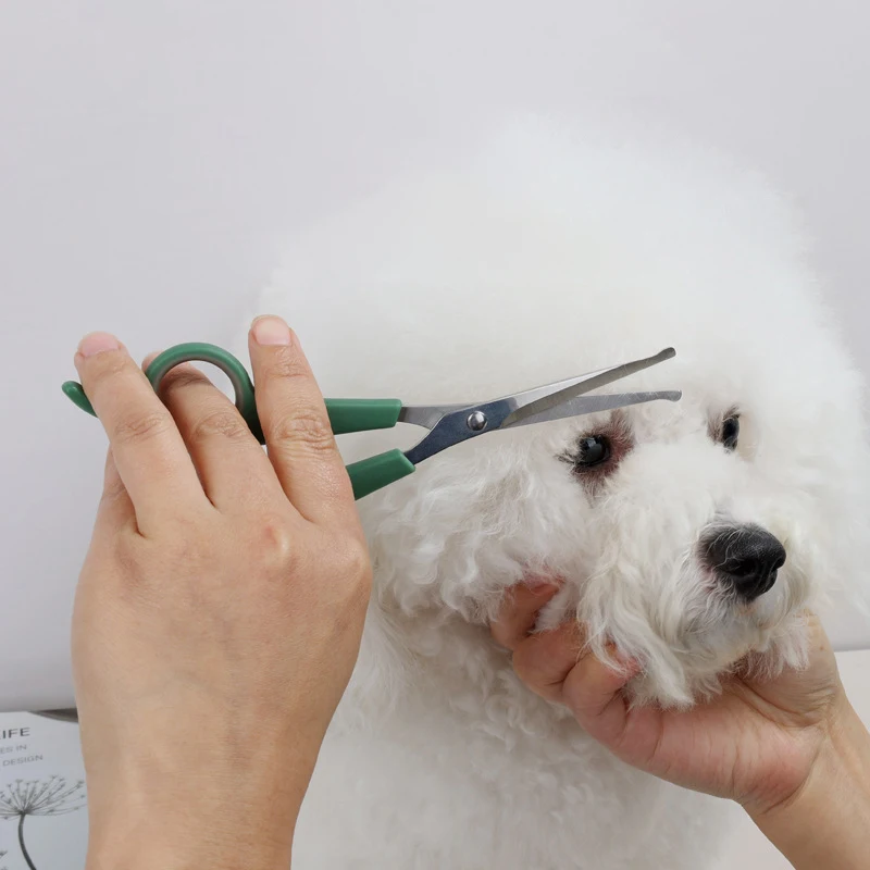 Grooming Scissors Dog Cat Hair Shearing Tool Stainless Steel Round Tip