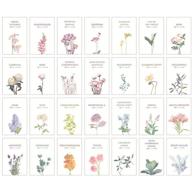 27/28pcs Cartoon Business Cards Birthday Hand Drawn Postcard MINI Message Card Flowers Envelope Postcards Student Stationary N