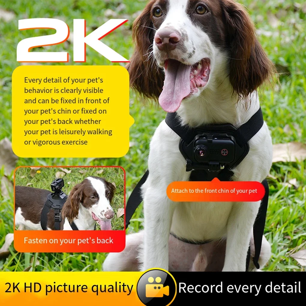 HD 2K Dog Cat Pet Camera Collar, 360 Panoramic Sports Wireless App Rechargeable Camera Video Records for Cats Dogs Birthday Gift