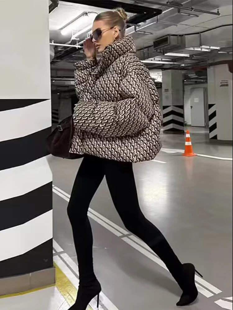 Chic Casual Women Winter Jacket Zipper Stand Collar Long Sleeve Female Short Parka Coats 2025 Streetwear New Outerwear ﻿ ﻿