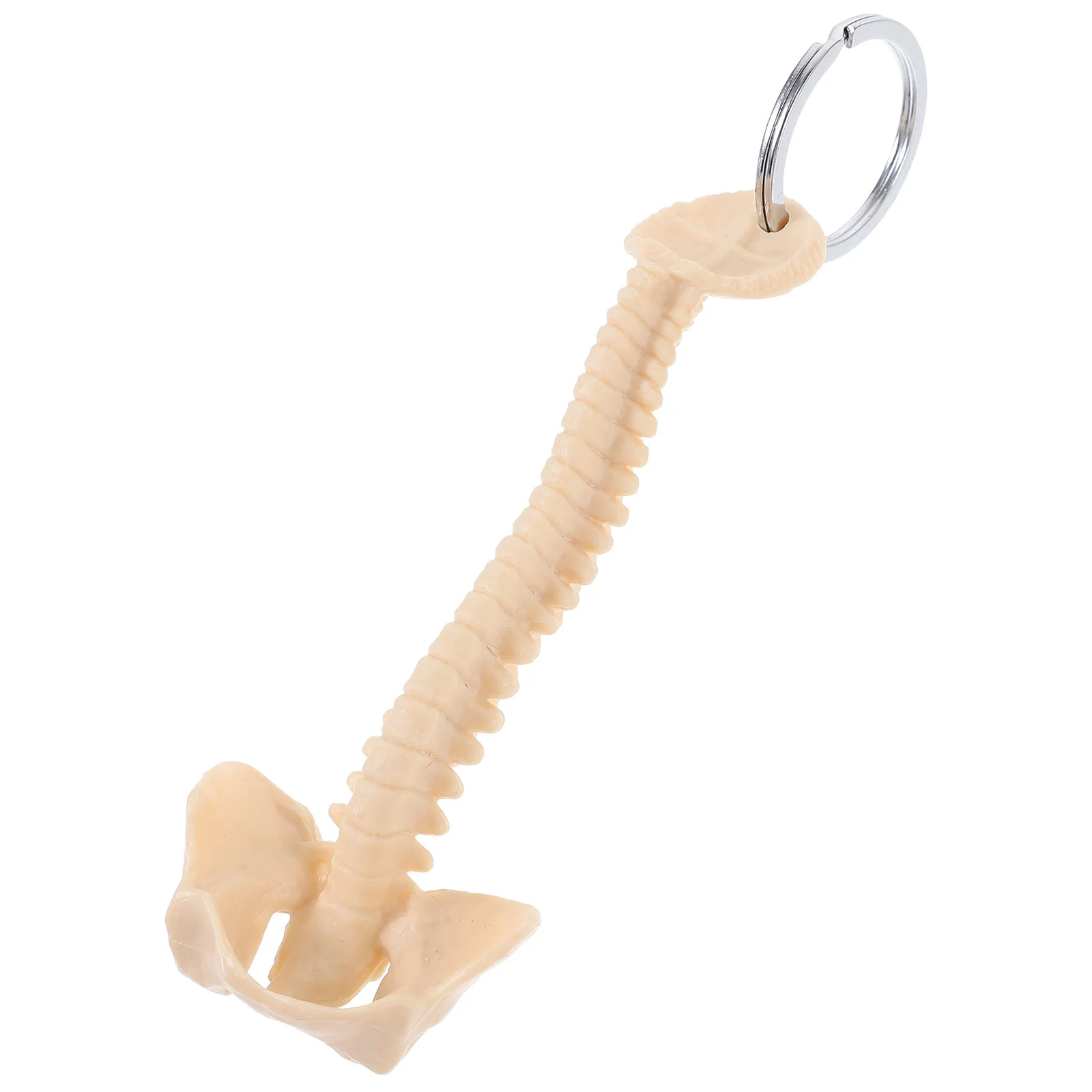 

Ручная сумка, модель человеческого позвоночника, брелок, подвеска, кольцо, брелок для детей