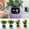 Tuya Ivy Smart Planter,Endless Fun Over 49 Rich Expressions,7 smart sensors,AI Chips Make Raising Plants Easy and Fun 1