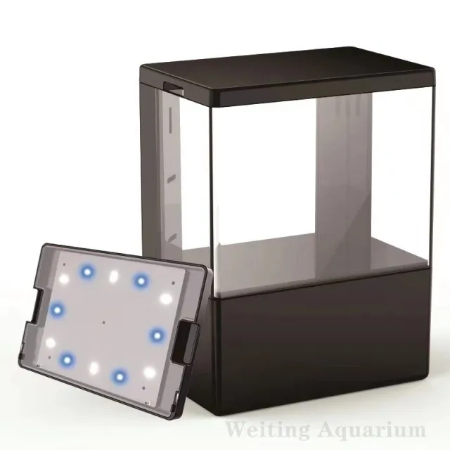 Blue lights