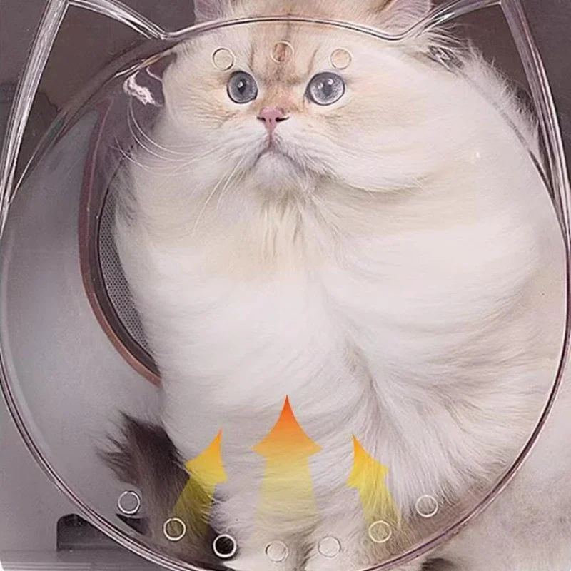 Commercial Pet Drying Box Pet Hair Dryer Hair Dryer Pet Hair Dryer and Water Blower Hair Dryer for Dog Household Cat Multifunctional Drying Room