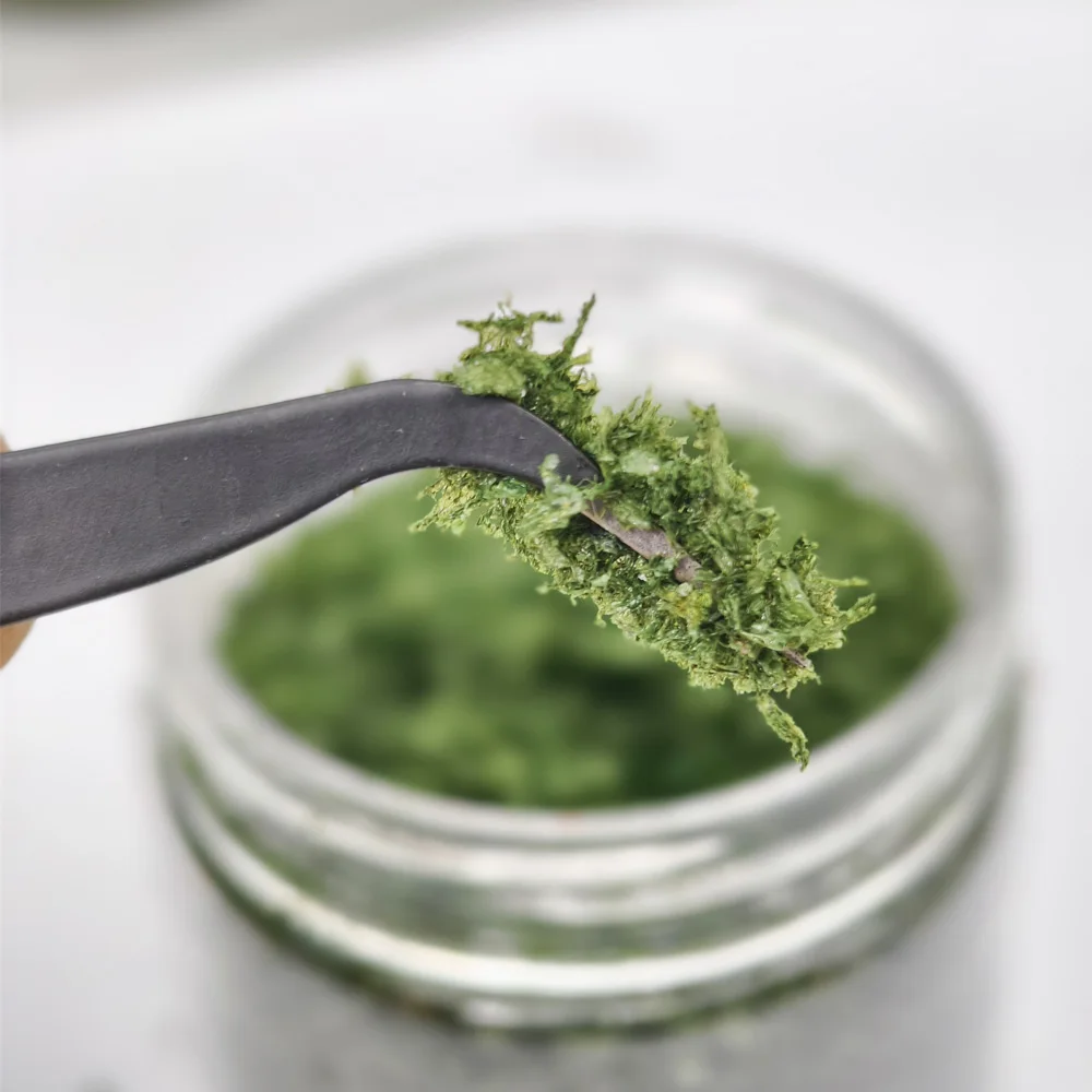 10g 인조 나무 잎 가루 미니어처 테레인 키트 Ho OO N DIY 모델 제작 나무 재료/조경/디오라마 용품