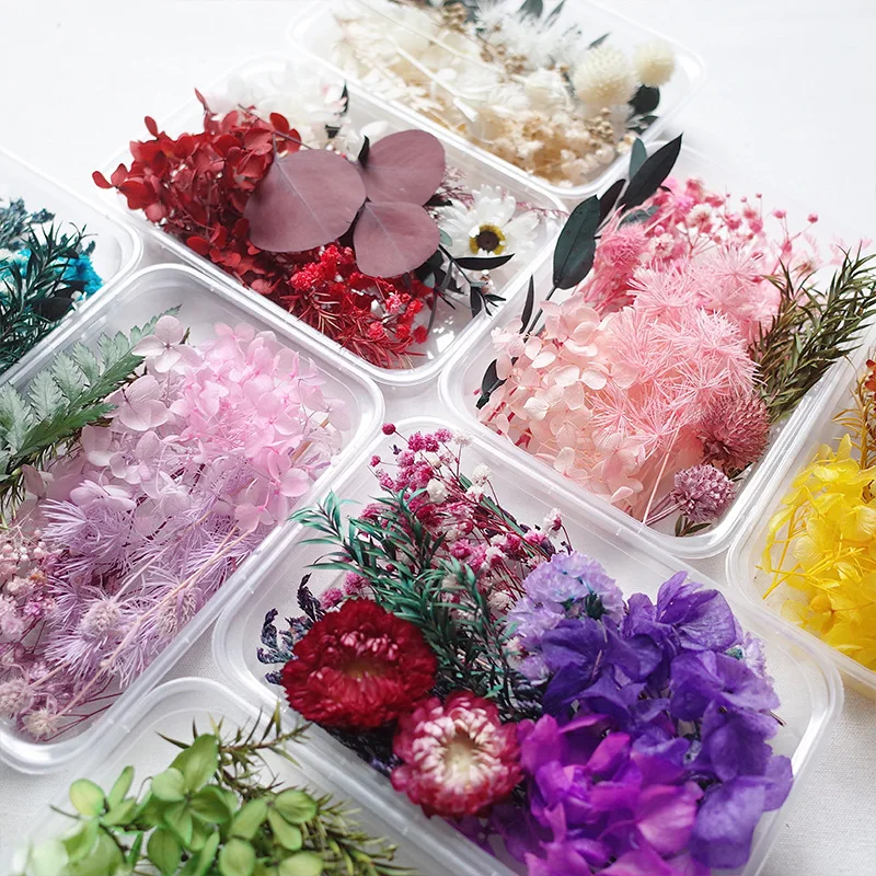 Dried Flowers Kit Multi-use DIY Candle Making Hydrangea Chrysanthemum  Gypsophila Petals Embossing Christmas Supplies Material