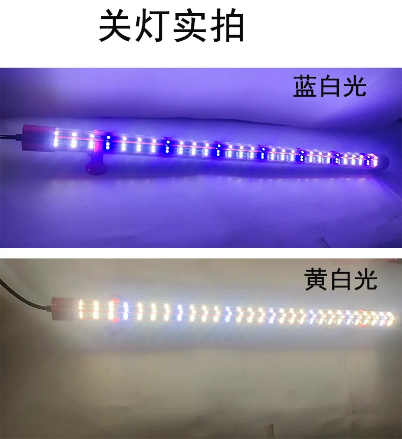 Koi light 5D Arowana special color magic light 240 degrees