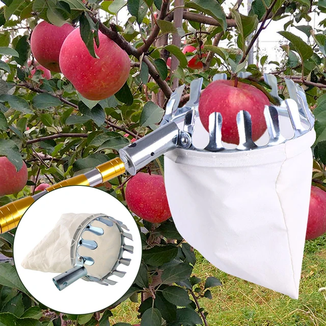 Fém Gyümölcsválasztó Mezőgazdasági Bayberry Jujube Szerszám Kerti Gyümölcsös Alma Őszibarack Magas Fa Fogó Kollekció Tasak
