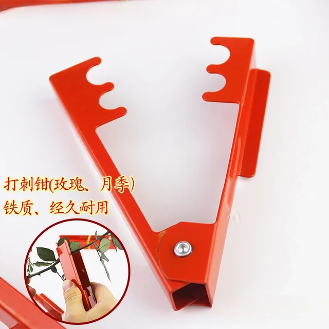 Flower Stem Burrs Pliers Cutting Tool Garden Leaf Stripping Rose Thorn  Remover Garden Pliers Rose Thorn Stem Leaf Thorn Stripper - AliExpress