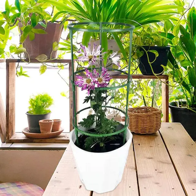 Növényi Tét És Támaszkodik A Zöld Szárú Virág Félkerekes Támogatáshoz, Nem Könnyű Rozsdásodni Kellékek Használatával - Image 3