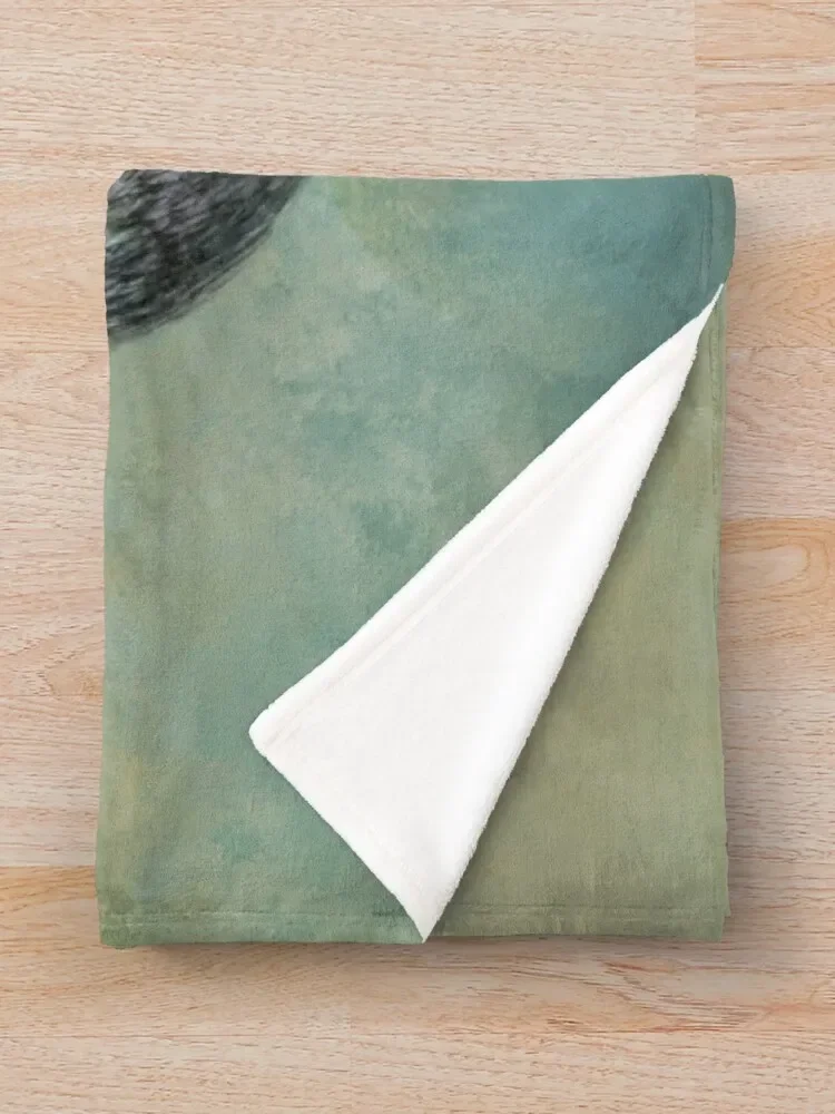 ī���� ���� ������ ���, ��Ʈ�� �ִϸ��̼� ���� ���