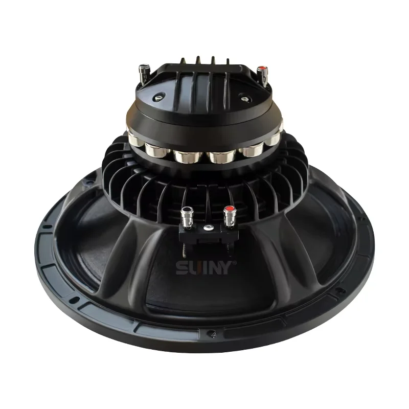 Z-200 10 Inch Coaxial Speaker Plum Blossom Mmagnetic Rrubidium Iron Boron Tweeter 65 Core Bass 75 Core 700W 8 Ohm 1PCS