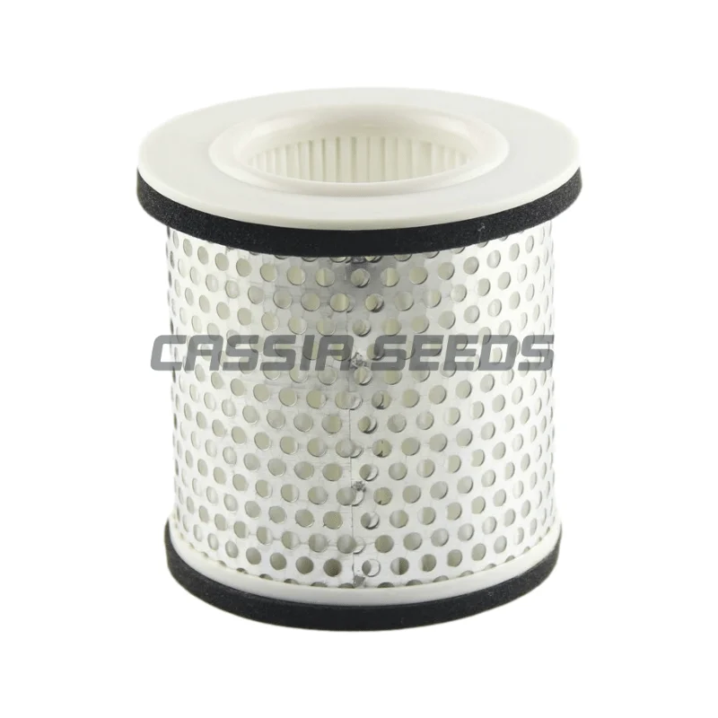 ������� ���� ����, �߸��� FZ700 FZ750 FZR750 RT FZR1000 FZR750R XJ600N XJ600S XJ900S TDM850 BT1100