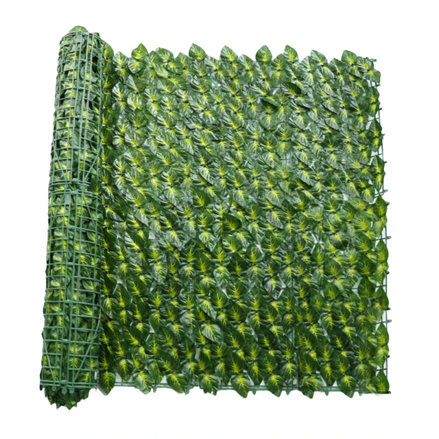 Green Sage Leaves