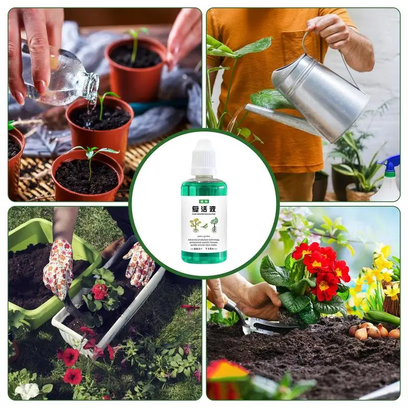 Plant Root Stimulator 30ml plant nutrient solution Potted plants rejuvenation liquid Indoor Fertilizer