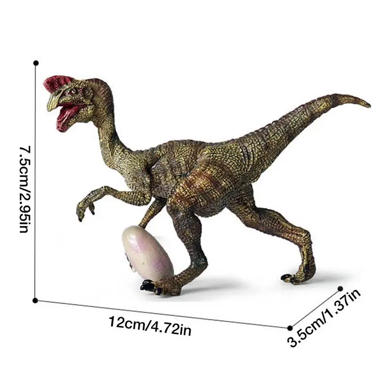 Oviraptor Dinosaur Toy Realistic Dino Figurine Toy Oviraptorosaurs Toy Oviraptor Collection Figurine Dinosaur Educational Toys 6