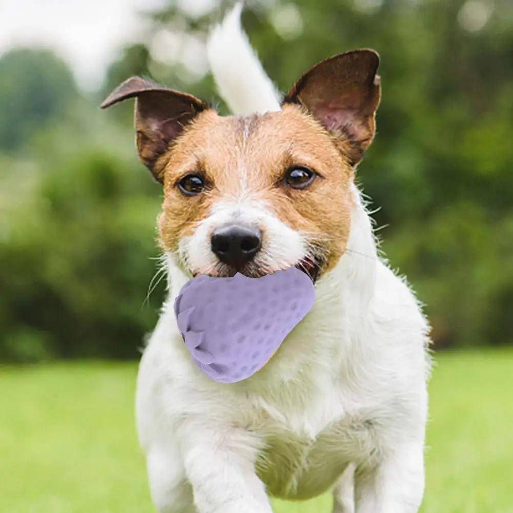 

Elastic Pet Toy for Chewing Playing Durable Dog Toys for Chewers Treat Dispensing Balls Teeth-grinding for Breeds for Boredom
