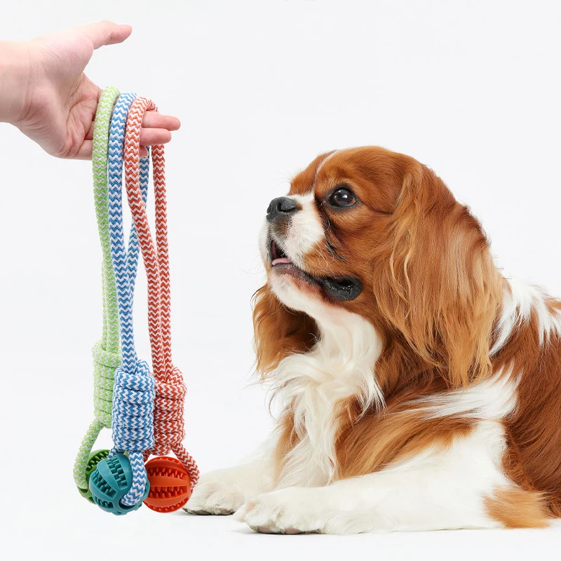 Rubber Rope Dog Chew Ball 2