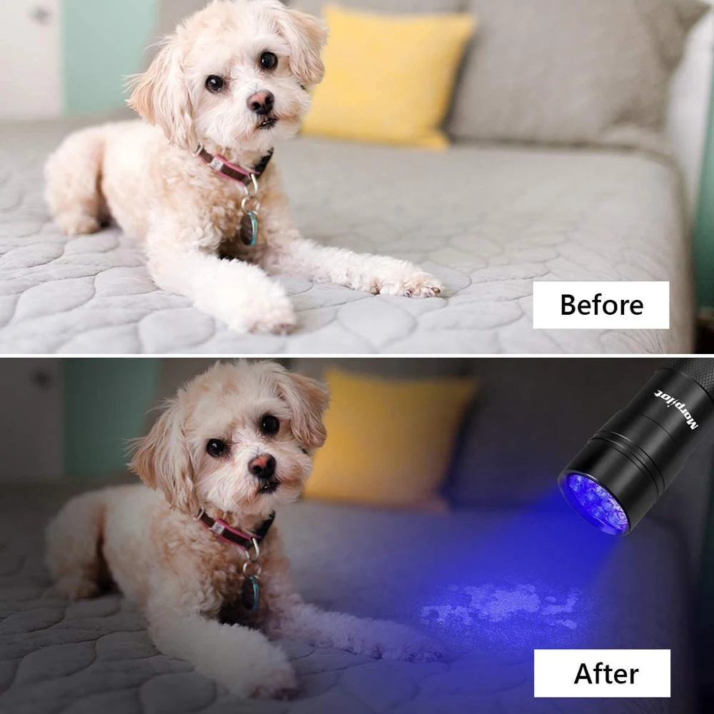 UV 12 LED Mini Flashlight Torch 4.5v Light Waterproof Aluminum Lamp Outdoor Portable Tactical Lighting Tool UV Lamp uv flashlight,portable flashlight