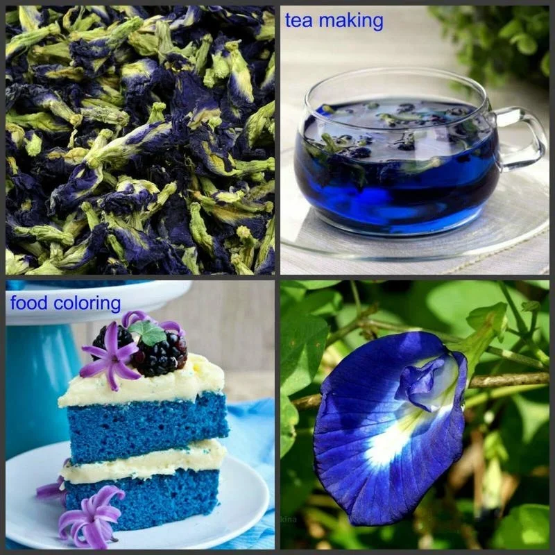 Natural Thai Blue Butterfly Pea Flower Tea Used for Baking Coloring Bathing Skin Care DIY Dessert Cake Help Detoxification