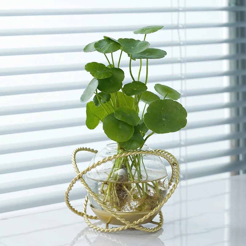 

Hydroponic Aesthetic Plant Vases Nordic Glass Table House Transparent Gold Flower Vases Minimalist Pot De Fleur Home Decoration
