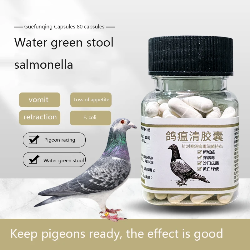 

Pigeon special nutritional supplement 80 capsules of water stool green stool shrinking head vomiting shake food