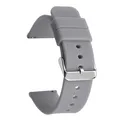 Gray silver