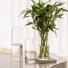Clear Cylinder Vase Wedding Party Dining Table Centerpiece Decoration Hydroponic Flower Holder Transparent Container For Home 1