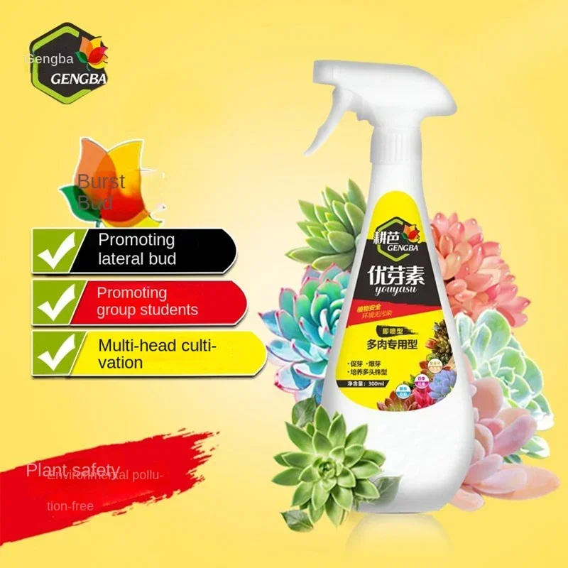 Plant Fertilizer 300ml Succulent Plant Bud Promoting Solution