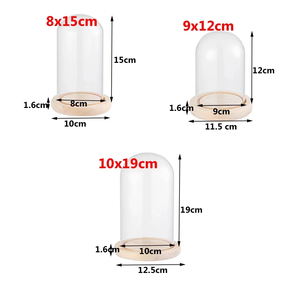 Dry Flower Glass Dust Cover with Wooden Base Immortal Flower Display Stand Clear Glass Vase Glass Cloche Plant Bottle Home Decor