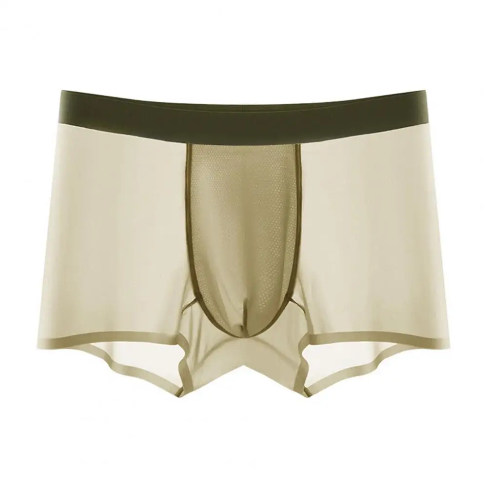 

Мужские Бесшовные Боксеры из ледяного шелка с U-выпуклым дизайном, эластичный пояс, дышащие однотонные мужские боксеры