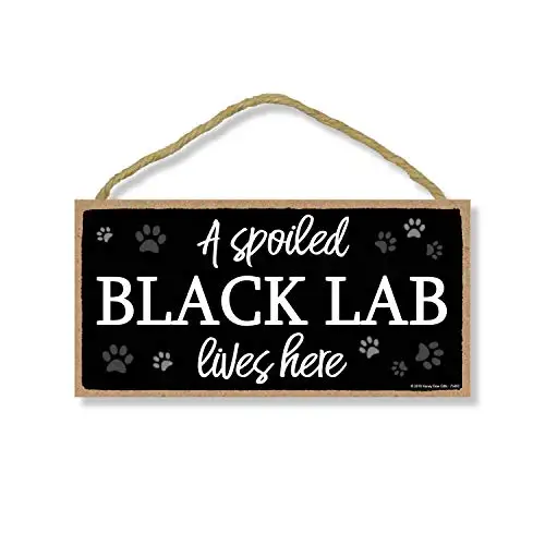 

Honey Dew Gifts A Spoiled Black Lab Lives Here Hanging Black Lab Decor, Wall Art, Decorative Wood Sign Home Decor, Black Lab Gi