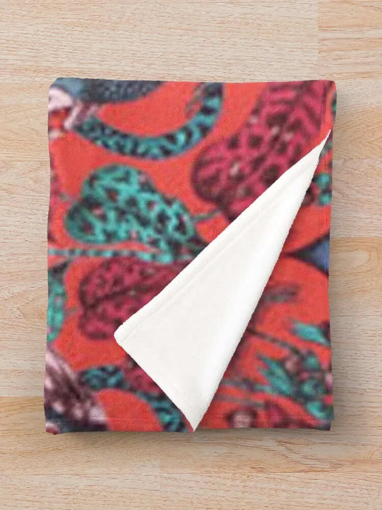 Emma J Shipley, Ŭ��ũ & Ŭ��ũ ��� �̱� ����Ŷ