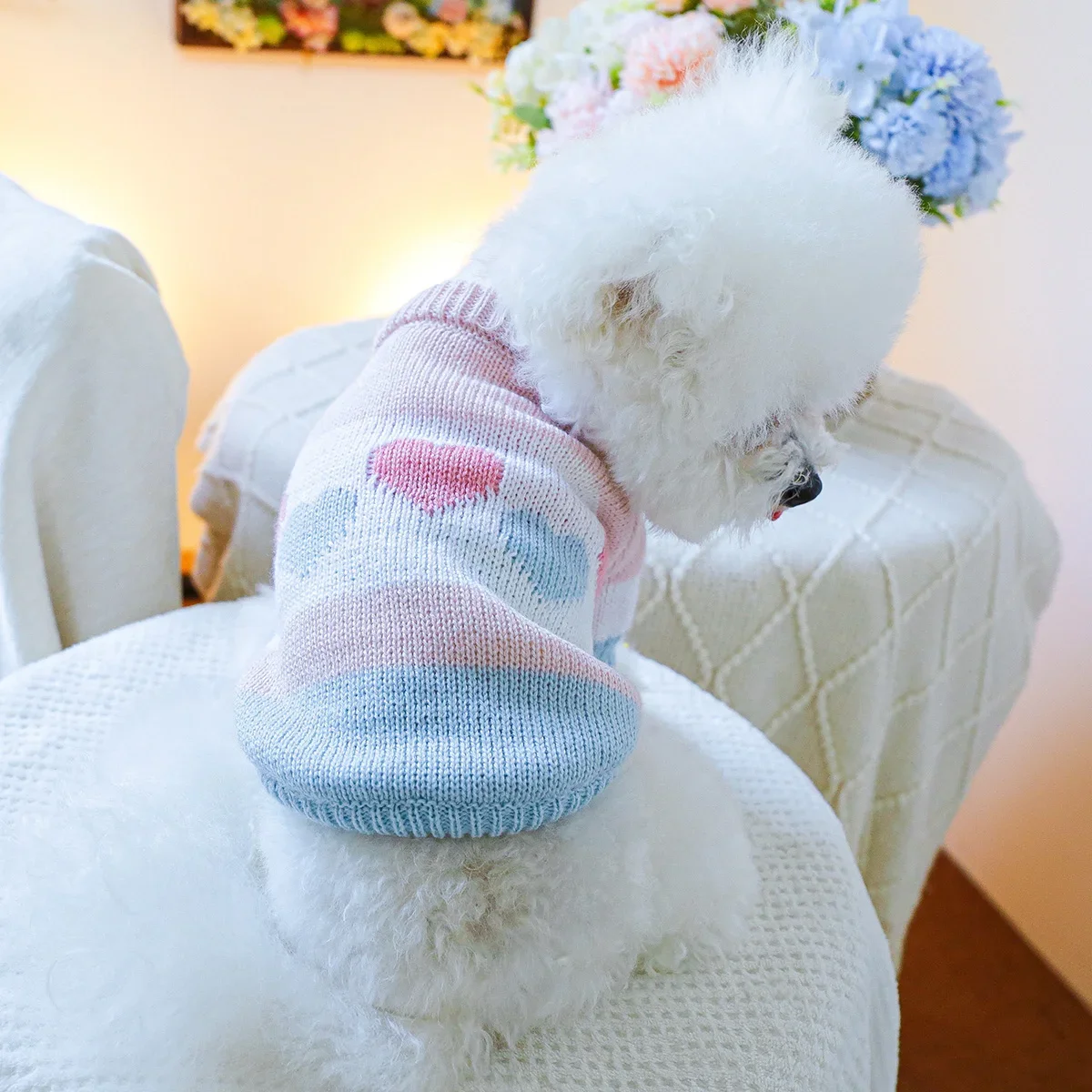 1PC 애완 동물 의류 봄과 가을 개 후드티 탄성 블루 핑크 러브 자카드 스웨터 소형 및 중형 개에게 적합