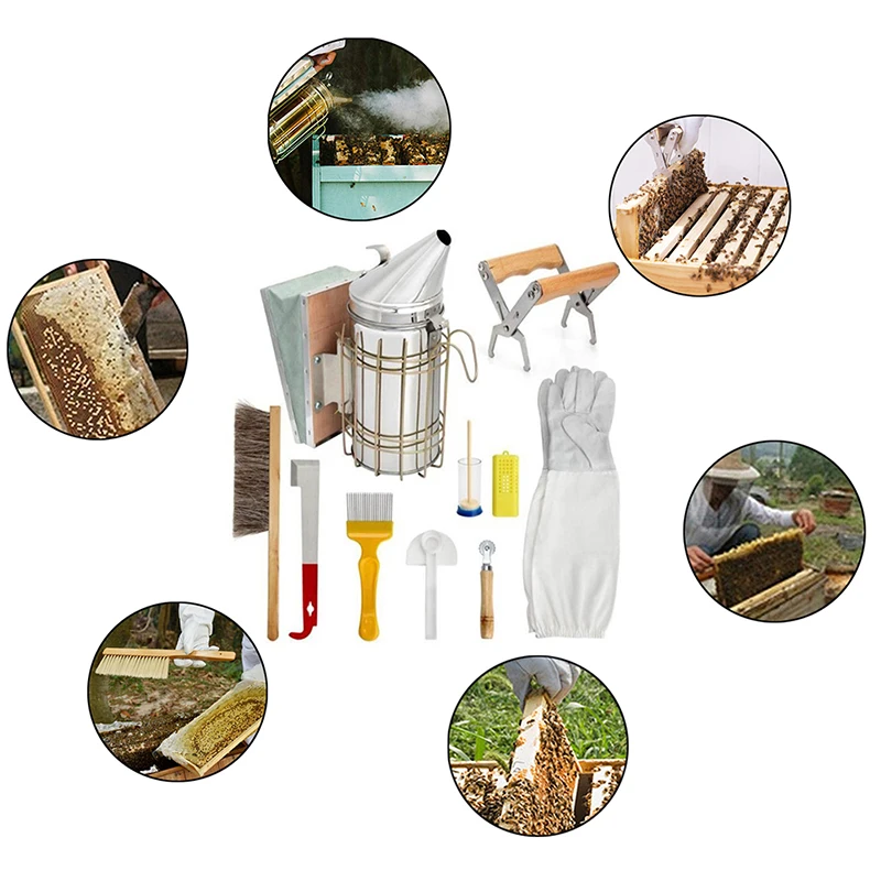 

Ten-Piece Beekeeping Starter Kit Stainless Steel Plastic Wood Smoker Scraper Bee Brush Tools Set for Beekeeping Beginners