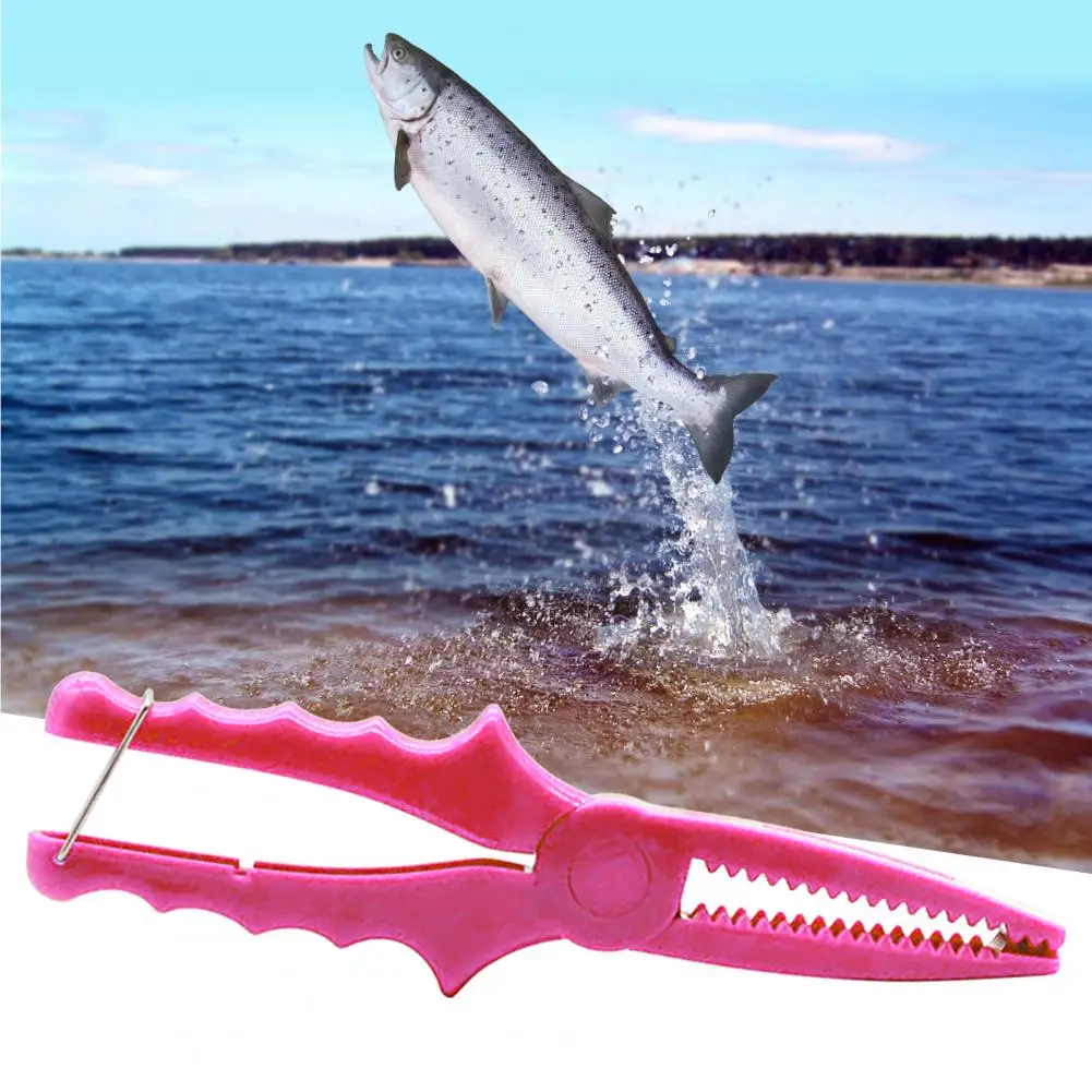 Fish Gripper Sawteeth Anti-slip Portable with Metal Buckle Fish Control  Plastic Fishing Control Pliers Fishing Accessories - AliExpress