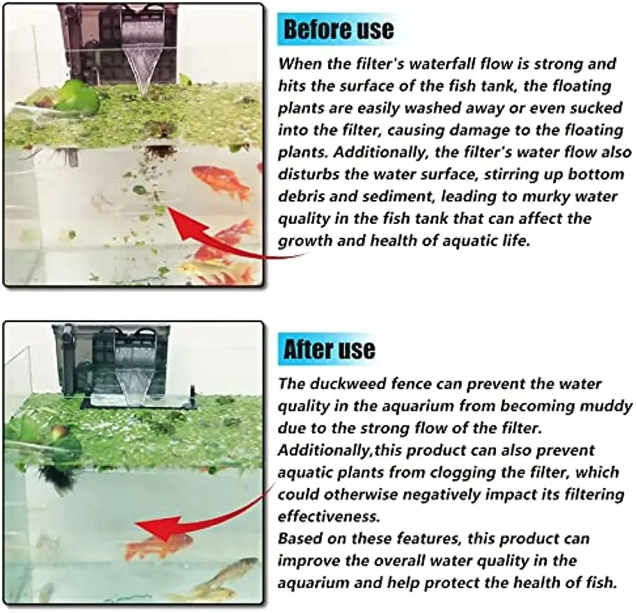 Lentilles d'eau 3 en 1 combo de plantes flottantes aquatiques