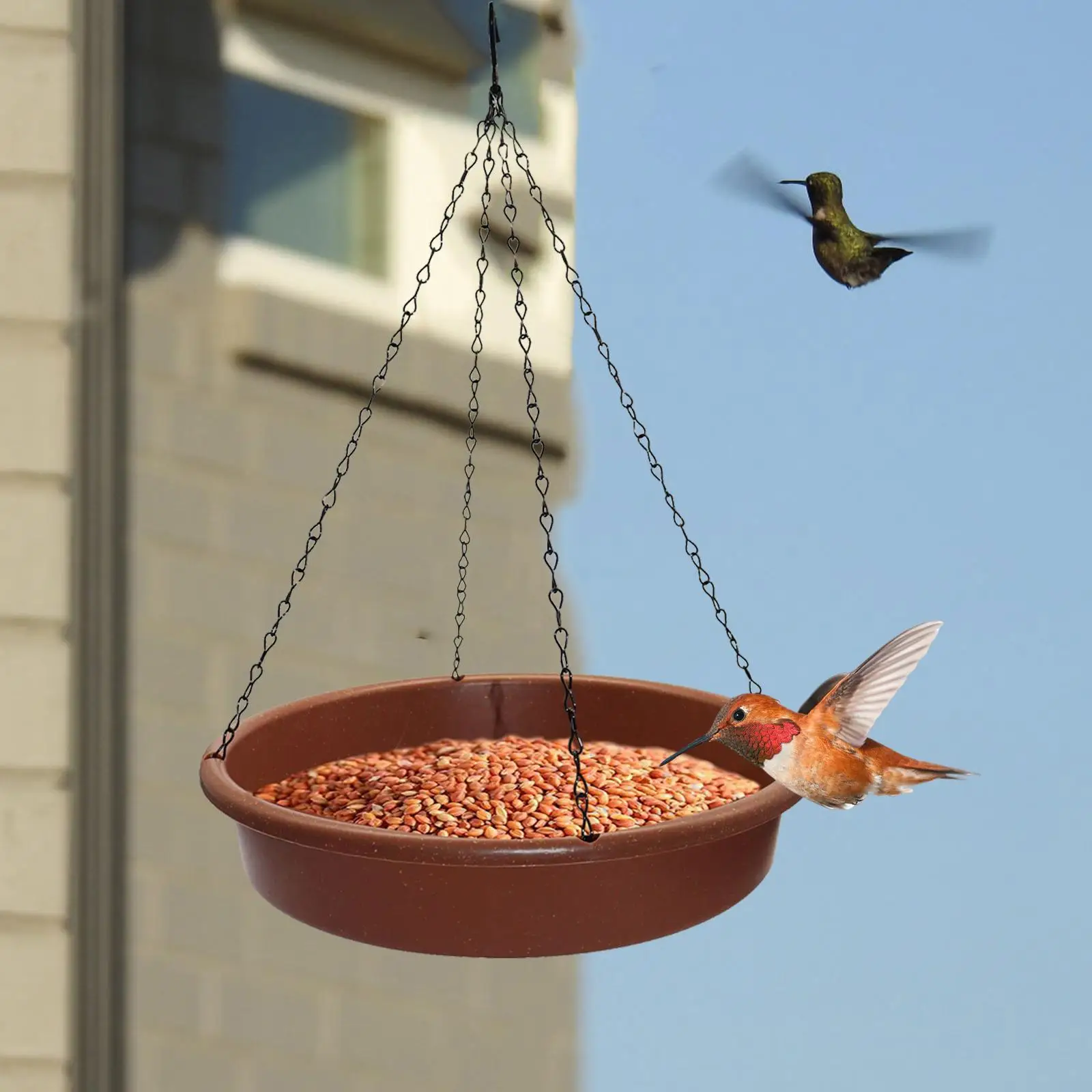 https://ae01.alicdn.com/kf/S8926c1d8d2134f2e8ae4d43d81c808eeA/Bird-Waterer-with-Metal-Hooks-Bird-Water-Bowl-and-Chain-Hanging-Bird-Bath-Water-Feeder-for.jpg