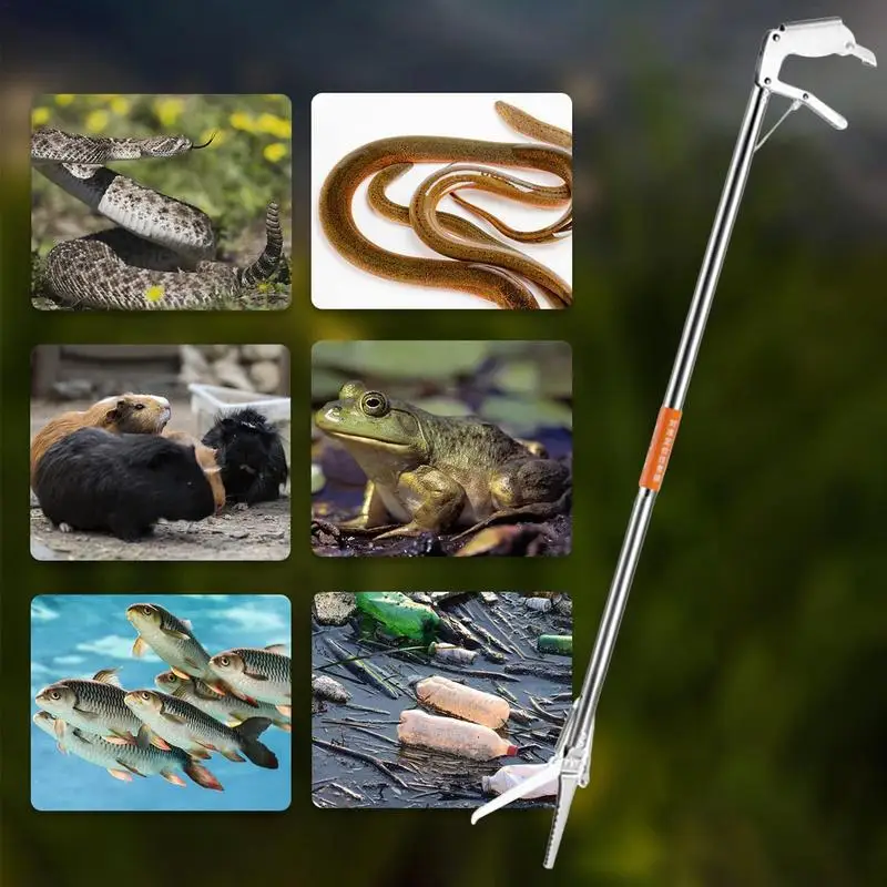 Slide image 59a265a7835e458cbf47c2e9239aa79c